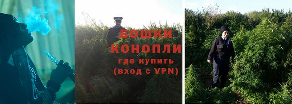ГАЛЛЮЦИНОГЕННЫЕ ГРИБЫ Алзамай